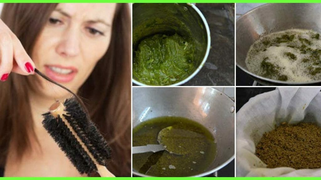 20 Herbs For Hair Loss That Stimulate Hair Growth Wpc Trends 8339